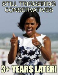 Michelle Obama triggering conservatives Meme Template