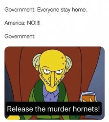 Simpsons murder hornets meme Meme Template