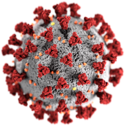 coronavirus Meme Template