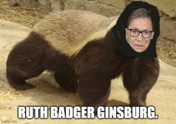 ruth badger ginsburg Meme Template