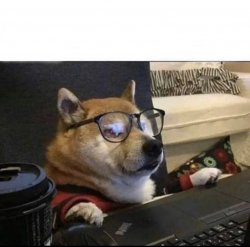 home office dog Meme Template