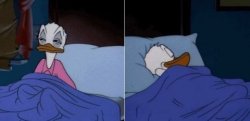 Sleeping Donald Duck Meme Template