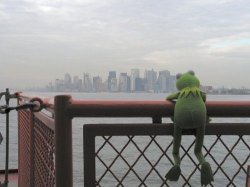 Kermit city Meme Template