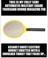 Asian giant hornet assault weapon Meme Template
