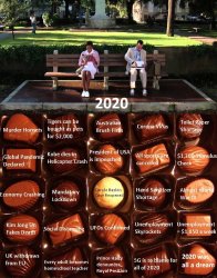 Life is Like a Box of Chocolates - 2020 Meme Template