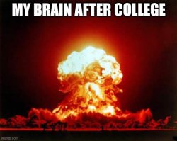 My brain after college Meme Template