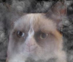 Ghost grumpy cat Meme Template