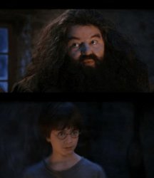 you are a wizard harry Meme Template