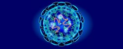 corona virus Meme Template