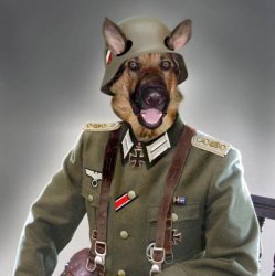 dog army Meme Template