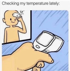 Checking my temperature Meme Template