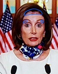 Pelosi Don't Drink and Dye Meme Template
