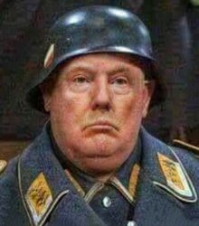 i see nothing!  i hear nothing!  i know nothing! Meme Template