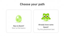 Duolingo tutorial skip Meme Template