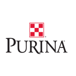 purina lion chow Meme Template