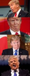 Trump 4-panel stupid Meme Template