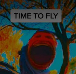 TIME TO FLY Meme Template