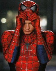 Spiderman putting on mask Meme Template