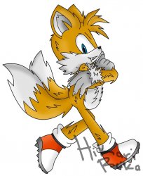 Haters Gonna Hate (Tails the Werefox) Meme Template