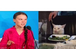 Greta Yelling At Cat Meme Template