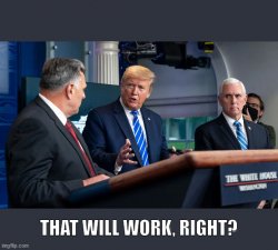 Donald Trump's bright idea Meme Template