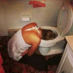 Drunk Woman toilet Meme Template