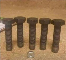 Jiggaloes and Hoes Should Get It Meme Template