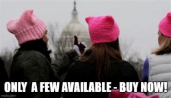 pussy hat Meme Template