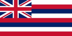 Hawaiian flag Meme Template