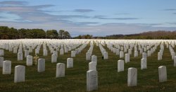 American cemetery Meme Template