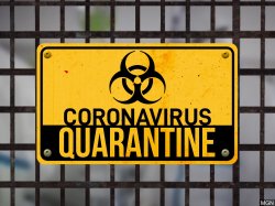 Coronavirus Quarantine Meme Template