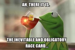 kermit on the race card Meme Template