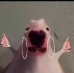 Periodt Meme Template