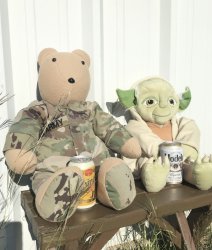 Yoda and Soldier Bear Meme Template