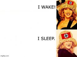 Kylie I wake/I sleep accurate Meme Template