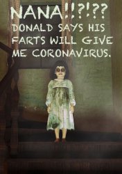 nana donald says his farts will give me coronavirus Meme Template