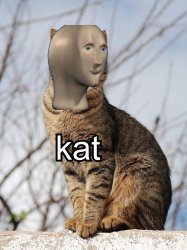 Kat Meme Template