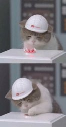 Sad Cat Button Meme Template