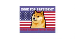 doge for president Meme Template