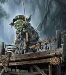 Carp Fishing Yoda Meme Template