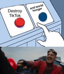 Destroy TikTok or world hunger? Meme Template