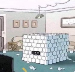 Toilet Paper Fortress Meme Template