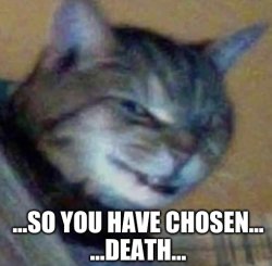so you have chosen death Meme Template