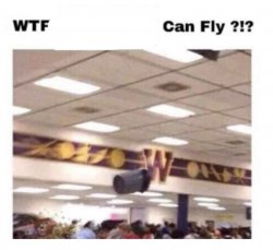 WTF --------- Can Fly ?!? Meme Template