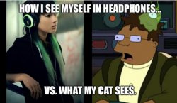 How I see myself in headphones vs. what the cat sees. Meme Template