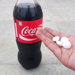 Coca-cola mentos Meme Template