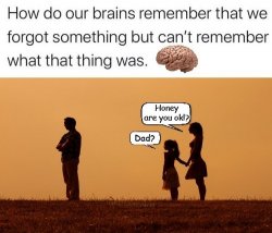 Funny Brain Memory Meme Template