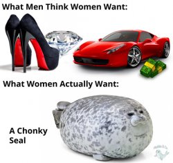 what women want chonky seal Meme Template