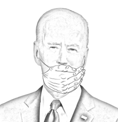 biden Meme Template