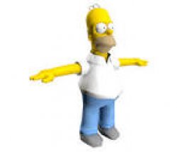 Homer T-posing Meme Template